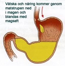 magsack_2-3_72_220.jpg