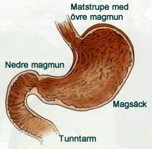 magsack_2_72_220.jpg