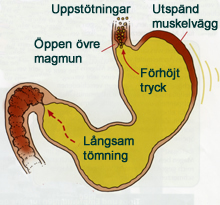 magsack_4_72_220.jpg