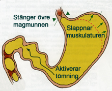 magsack_5_72_220.jpg