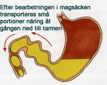 magsaeck_3_72_220.jpg