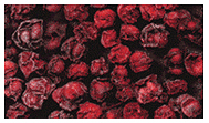 Schizandra_red.jpg